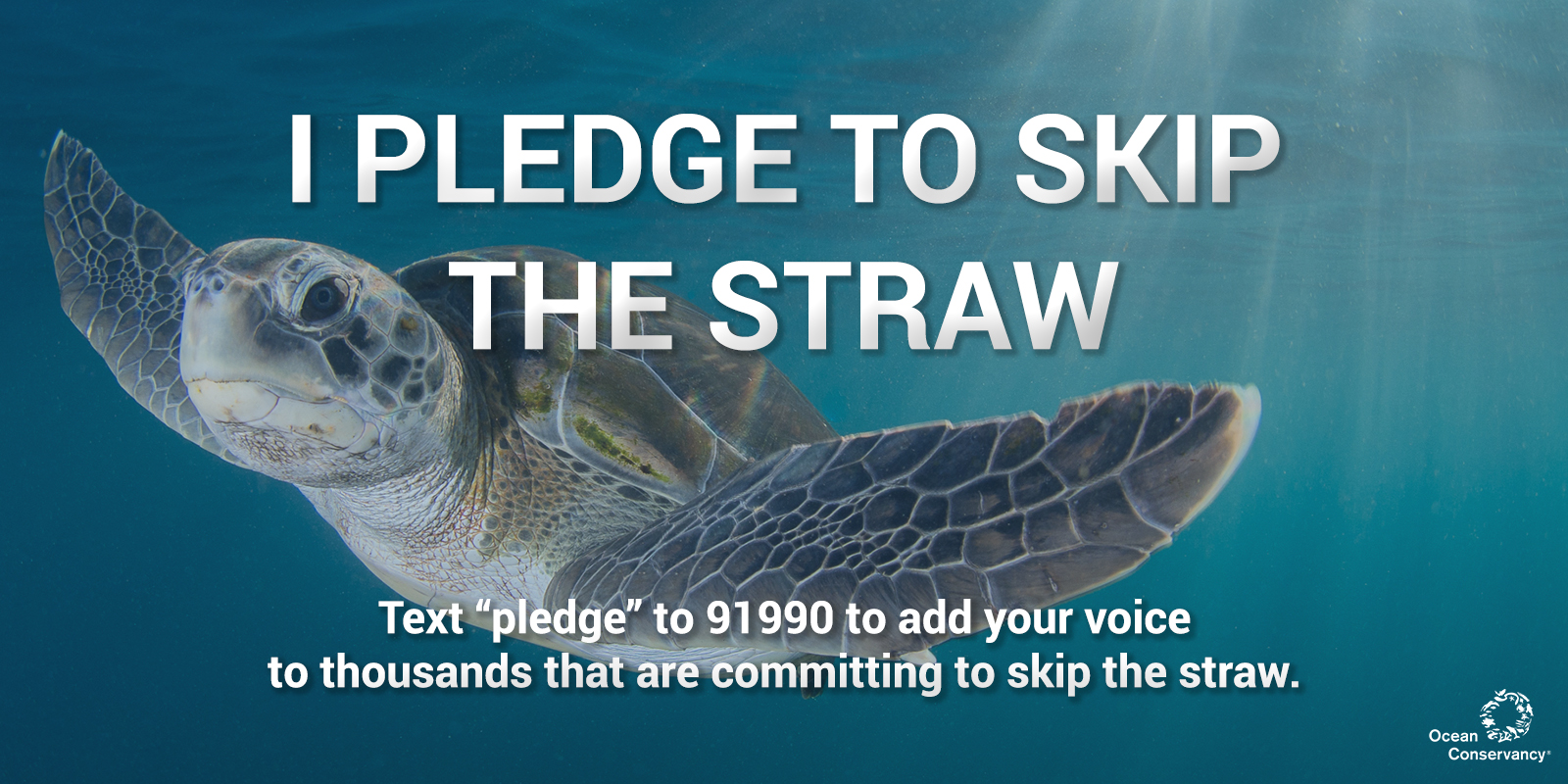 Pin by Zette Harbour on Eco Story | Ocean conservation, Ocean, Pledge