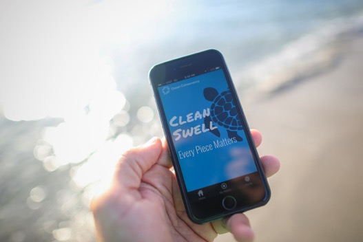 CleanSwell