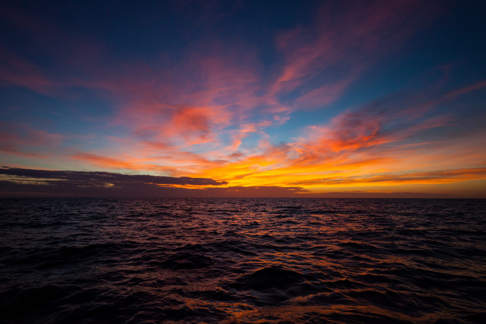 Dry Tortugas National Park.