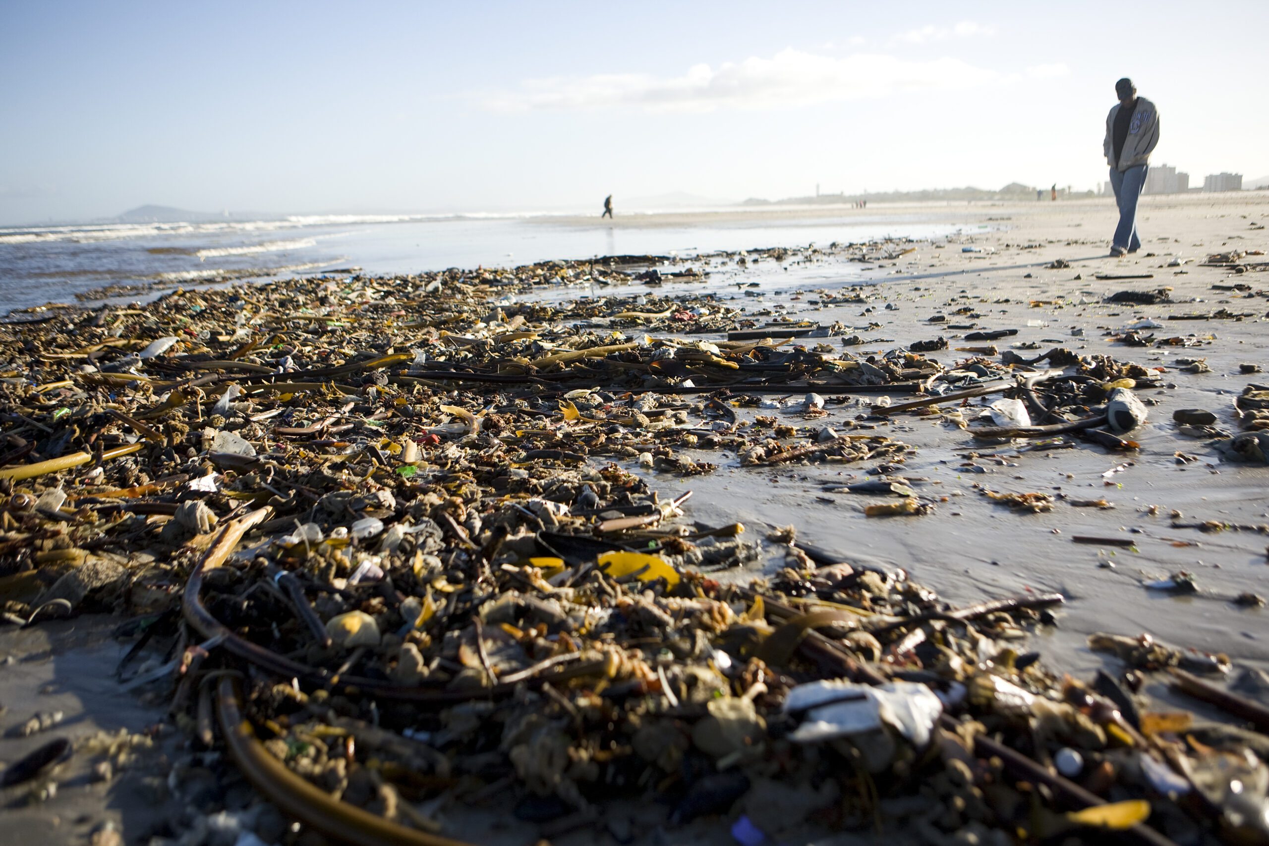 Ocean Conservancy Internatioanl Coastal Clean-up on Milnerton Beach, South Africa