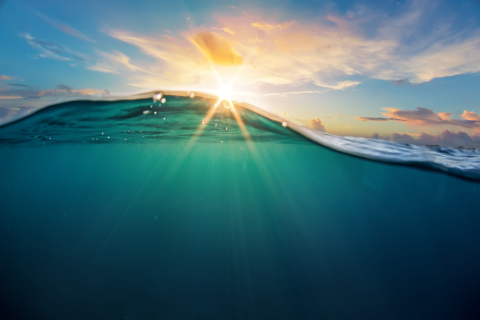 shutterstock_327112664 (1)