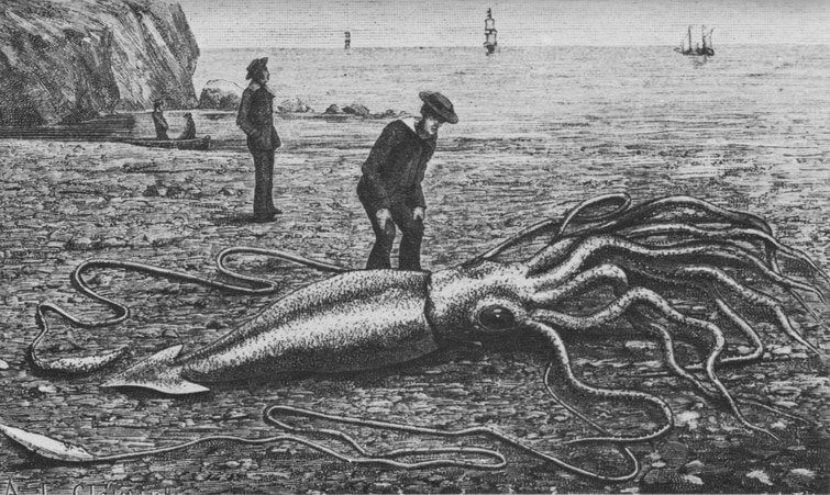 Popular Science : Wikimedia Commons- An engraving of a giant squid found in Newfoundland, 1877Wikimedia Commons