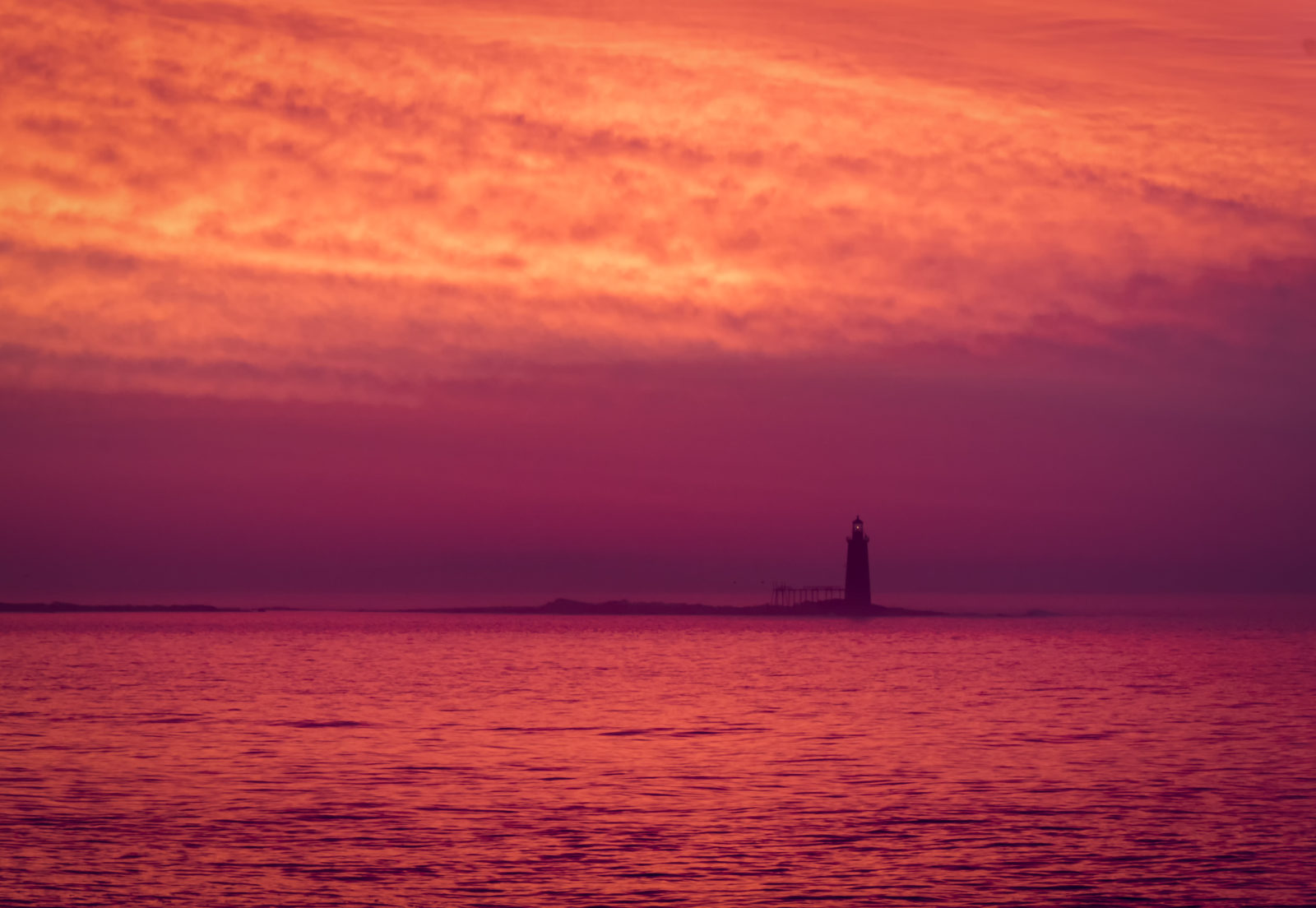 1846-Pink Dawn