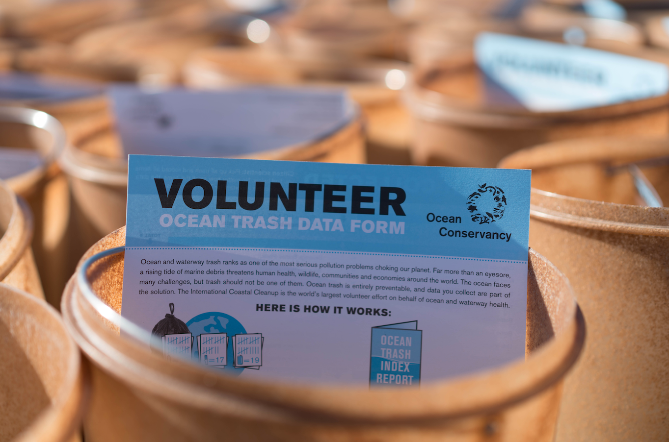 Screen Shot 2019-07-31 at 6.07.44 PM