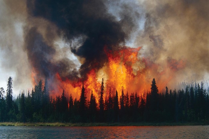Alaska Wildfire 3