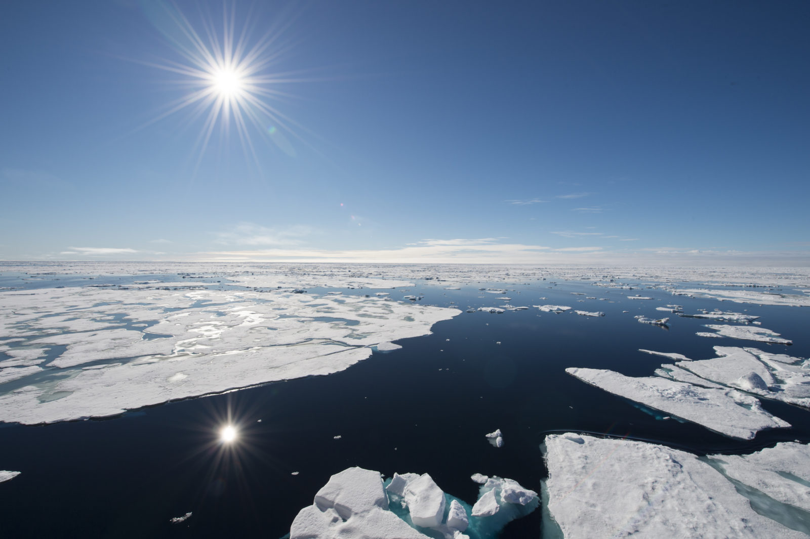Arctic Sea Ice