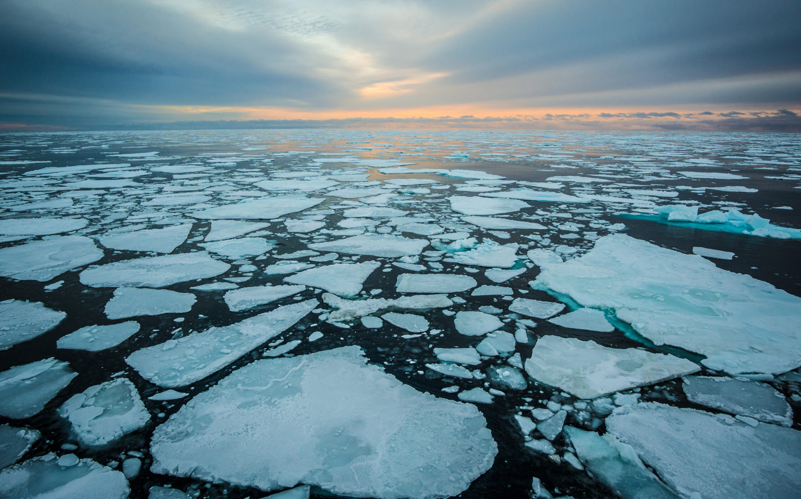 exagerar Comienzo Día del Niño Ocean Climate: Arctic Corporate Shipping Pledge - Ocean Conservancy
