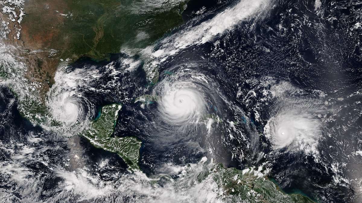 how-do-hurricanes-affect-marine-life-ocean-conservancy