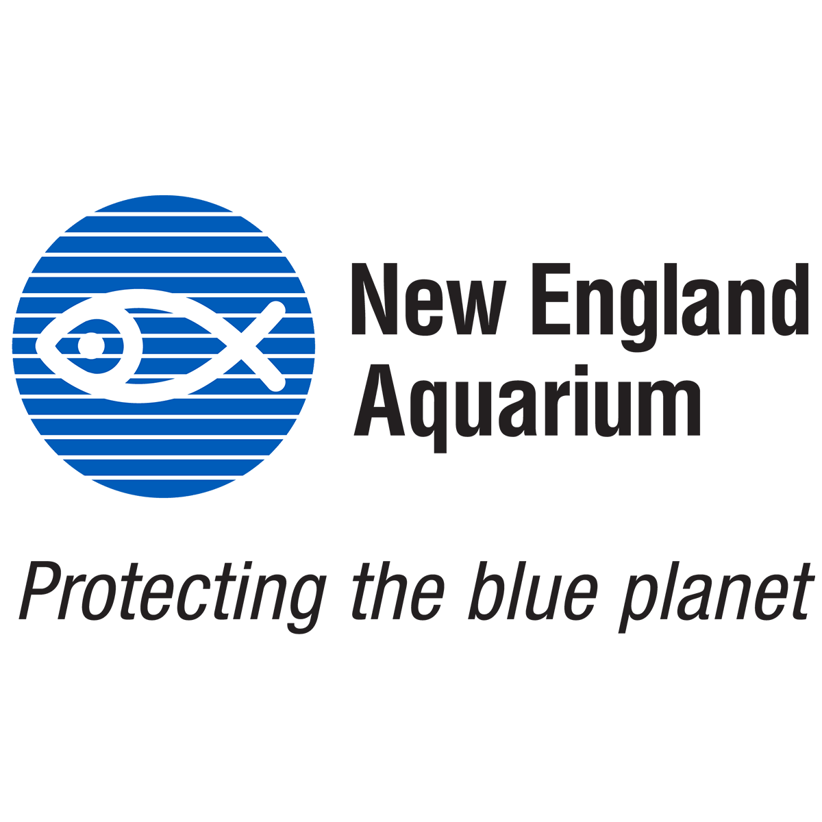 New England Aquarium