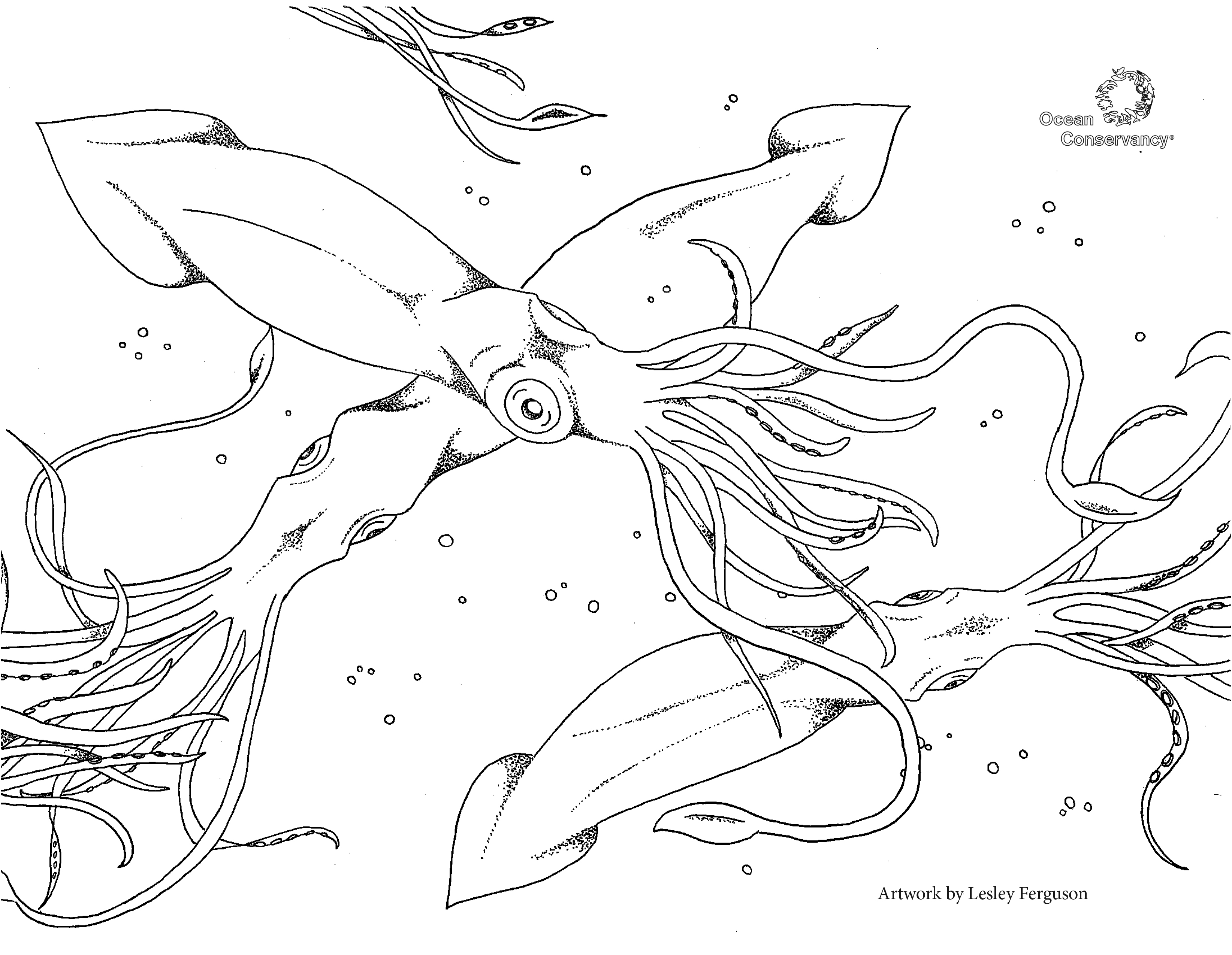 Sustainable Fisheries: Fish Coloring Pages - Ocean Conservancy