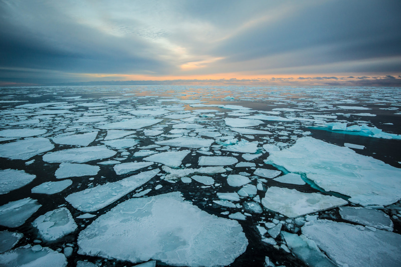 Sunrise over sea ice