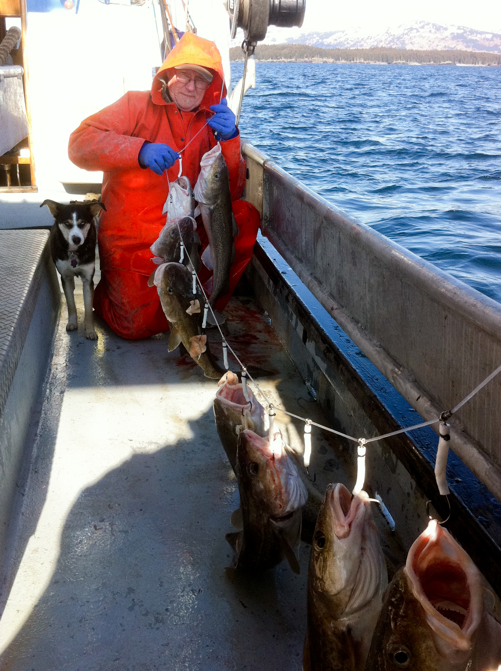 Dave Kubiak jigging for Pacific cod in the Gulf of Alaska aboard his boat the F/V Mythos
