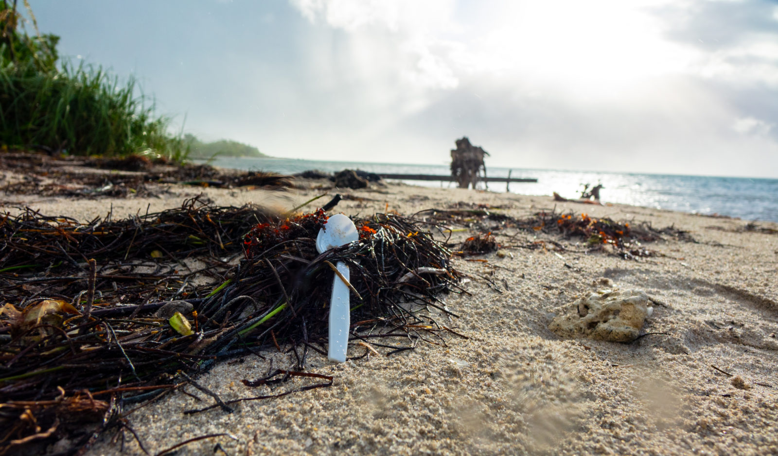 Isaac Mead-Long_Ocean Conservancy