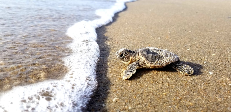 Jessica Pinder- Palm Beach, FL
