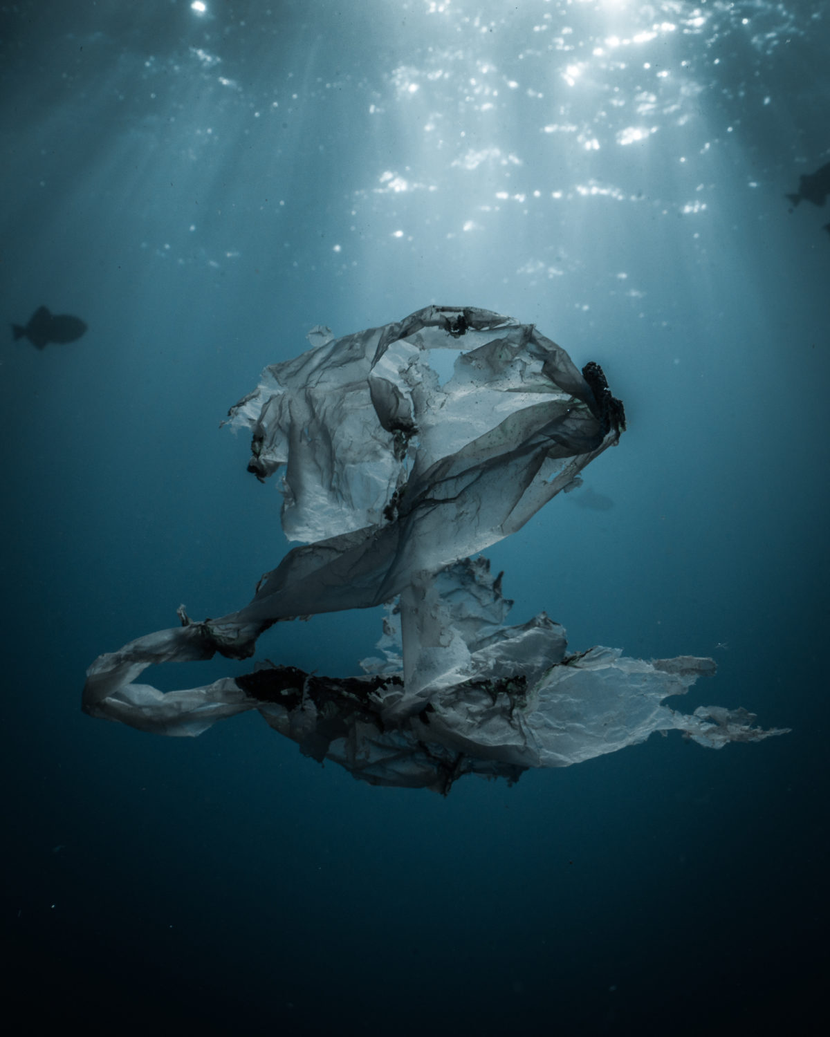 John Kowitz - Ocean Conservancy