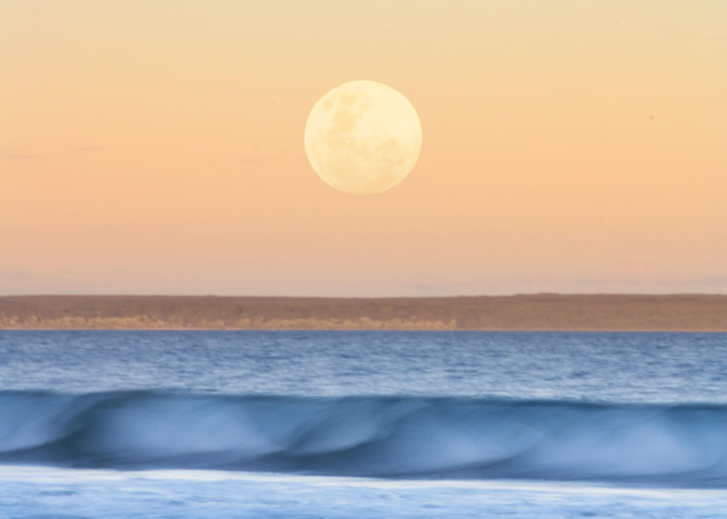 The nearly full moon rising over Jervis Bay, Australia, in golden hour.