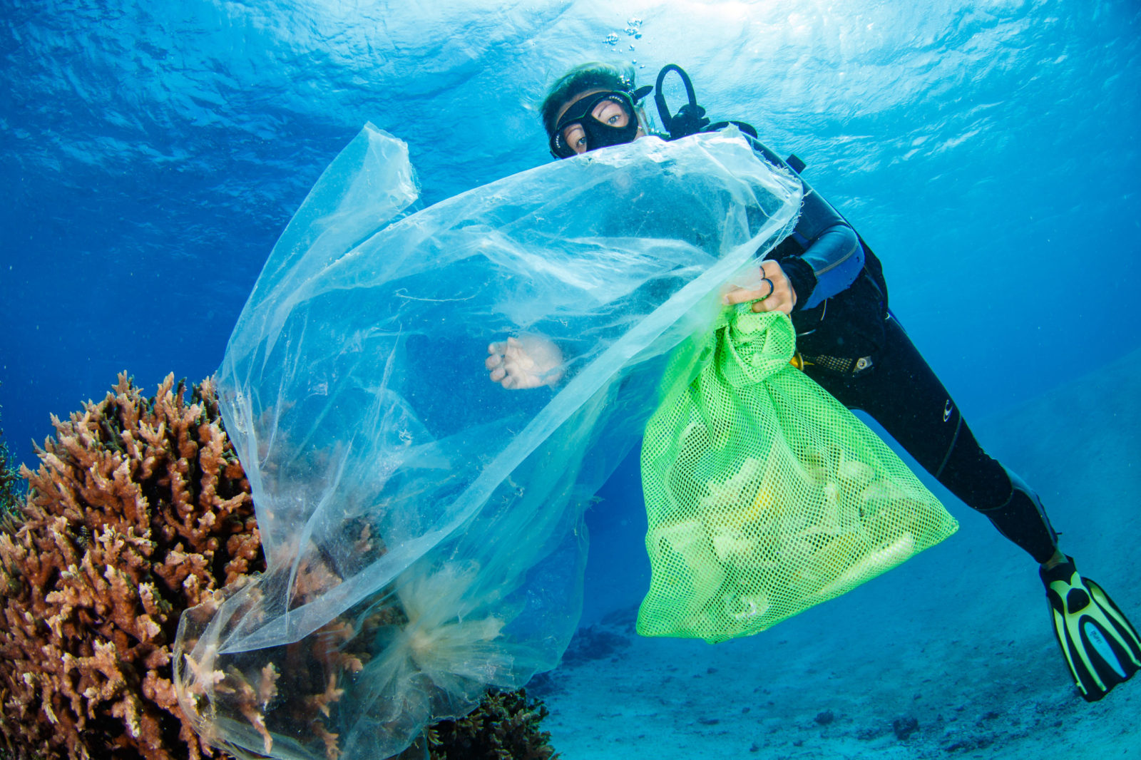 Litter ature The Whole Family Can Enjoy Ocean Conservancy