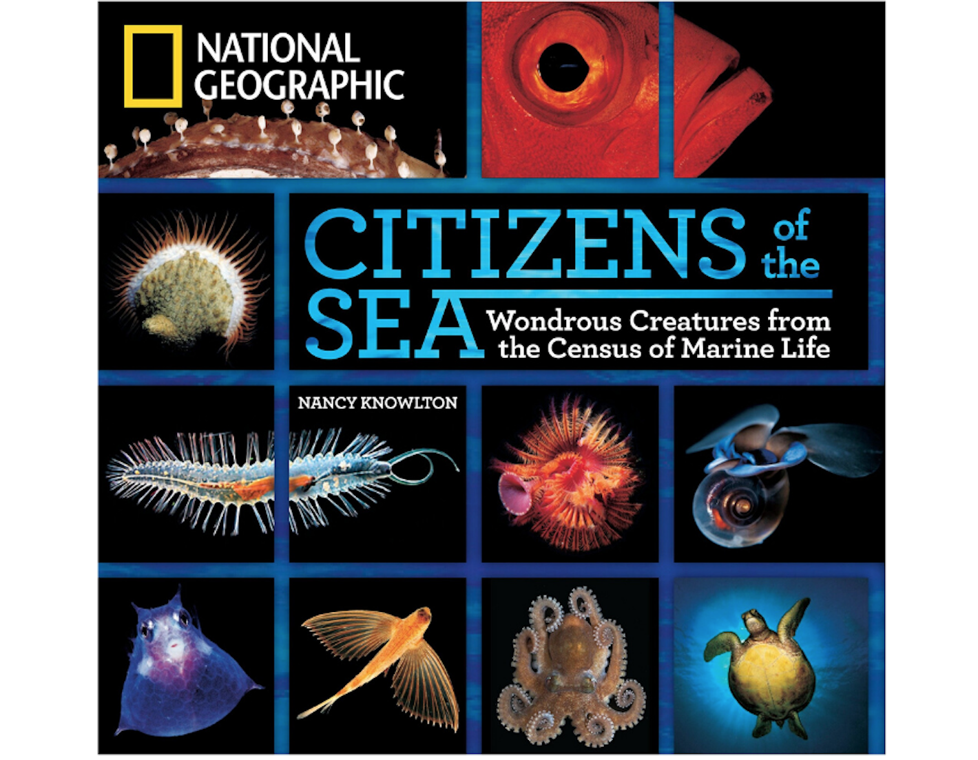 FINAL citizens of the sea