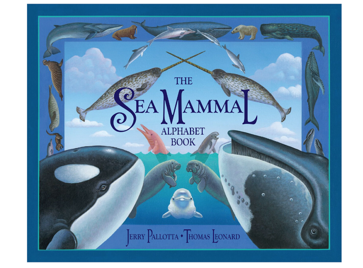 FINAL sea mammal alphabet book