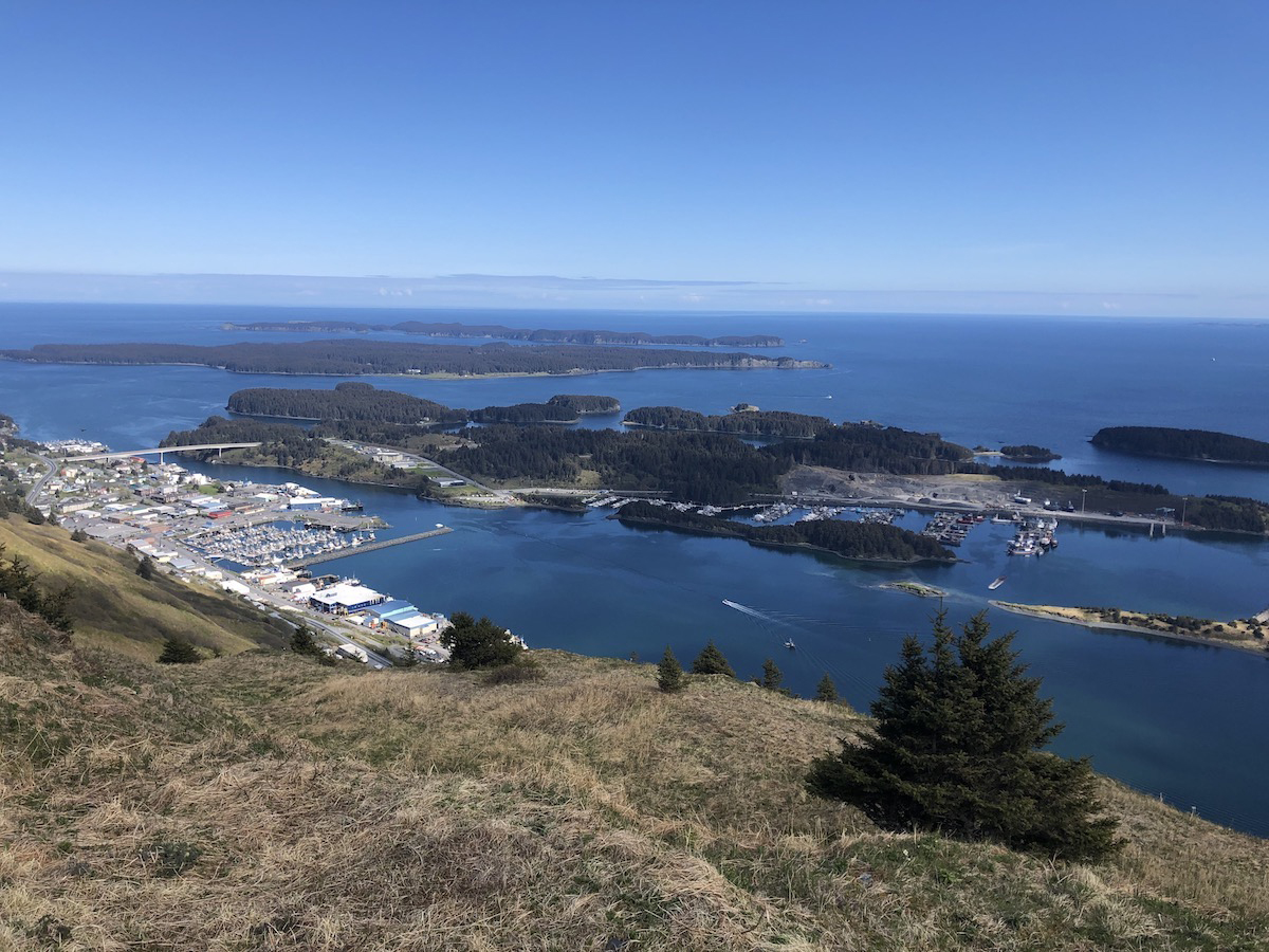 Kodiak_Theresa Peterson