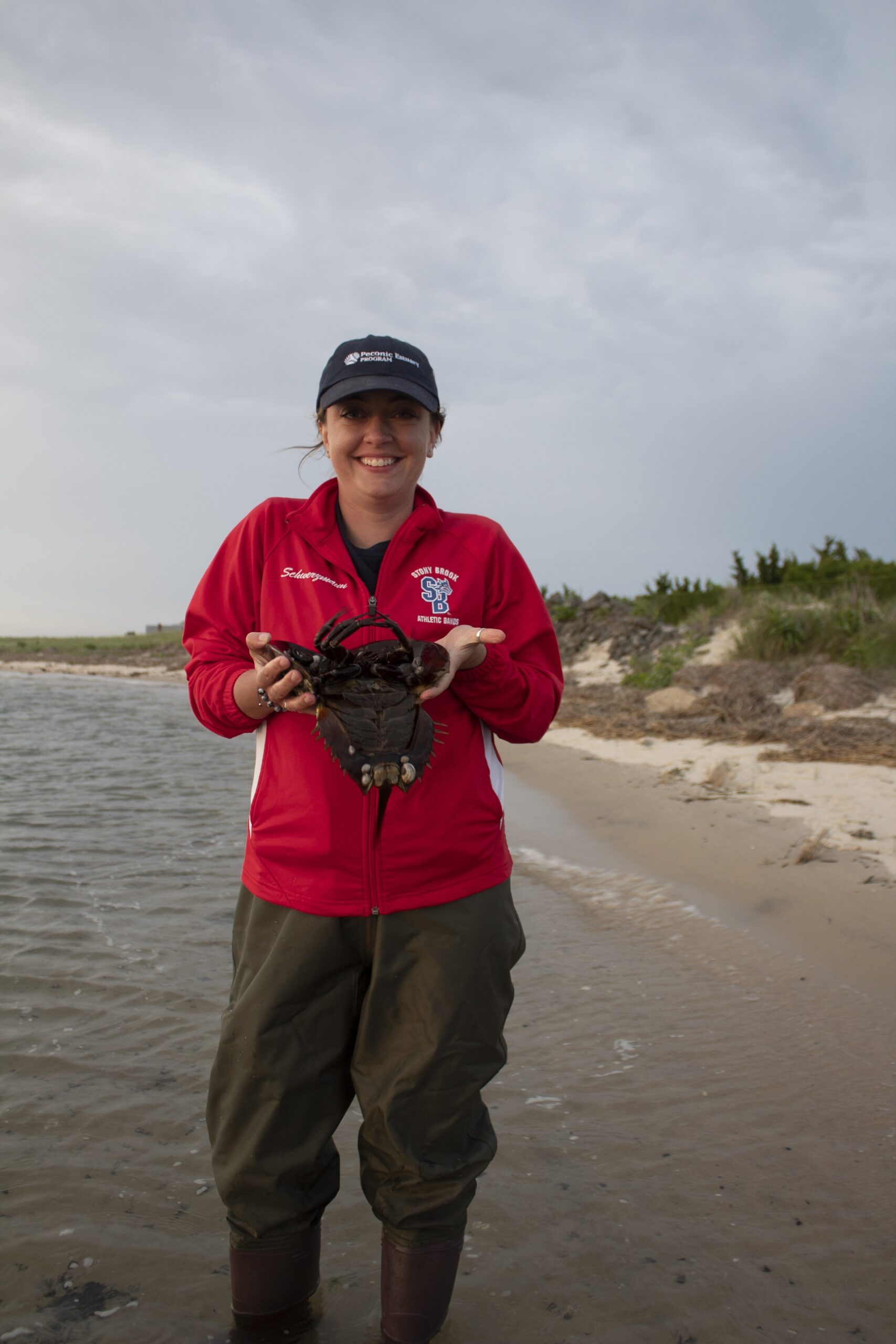 Jenna and horseshoe crab