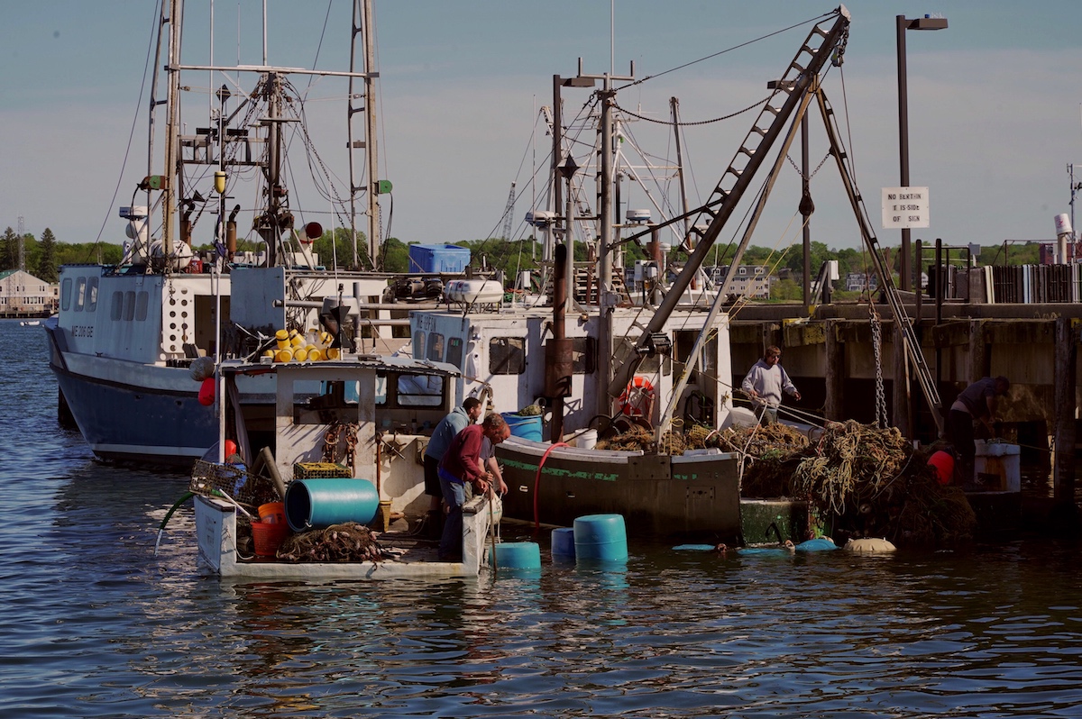 Joining Forces With the United States to Tackle Ghost Gear