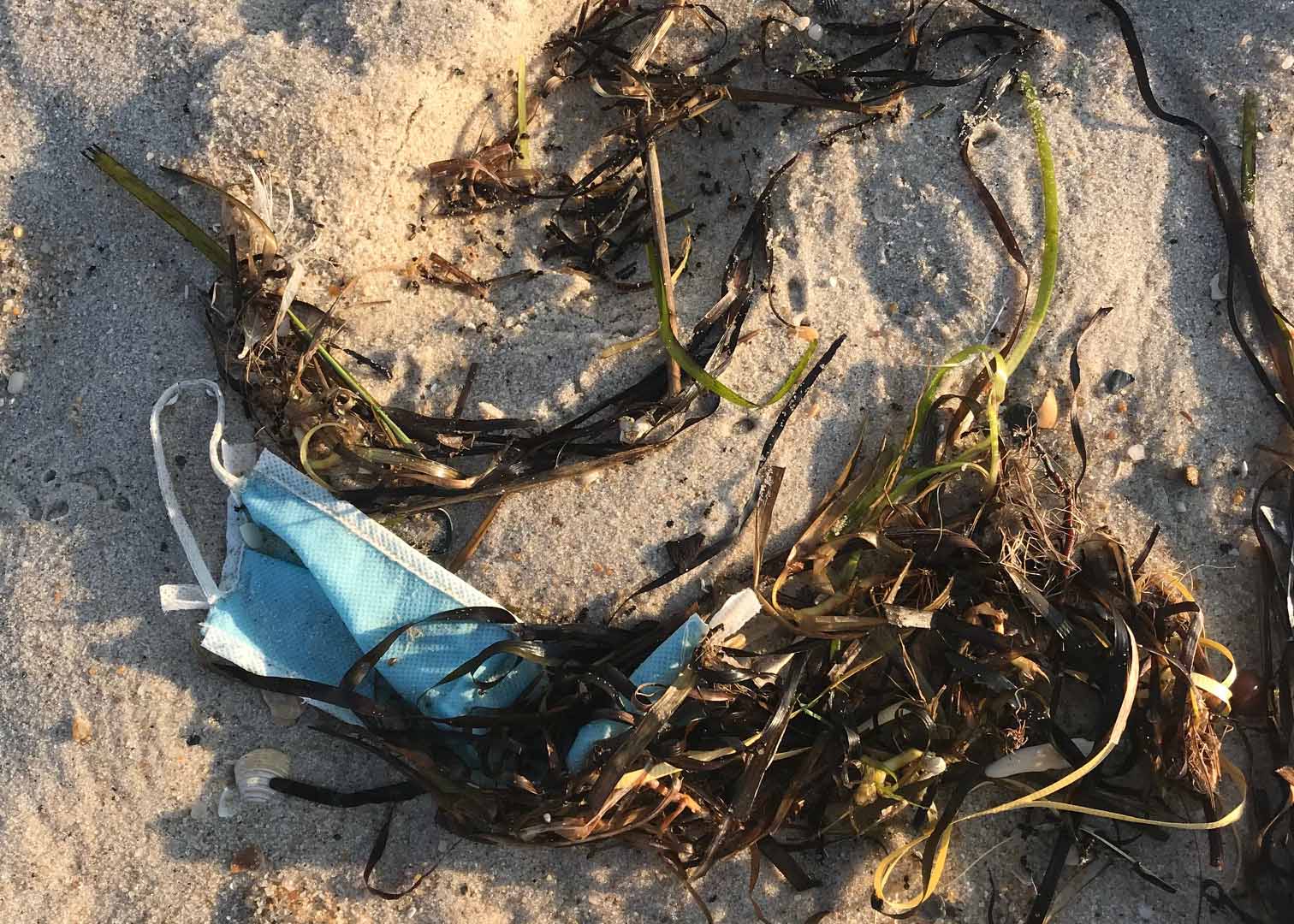 PPE-beach_WilliamUnotti