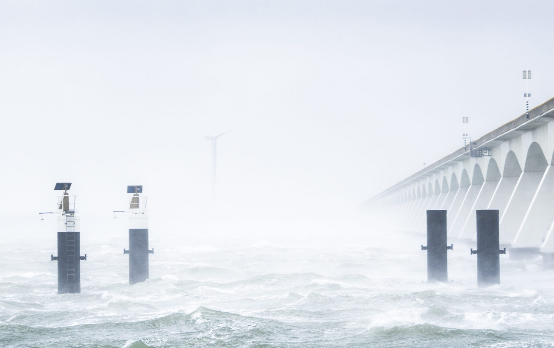 Stormy_ThomasVanPuymbroeck