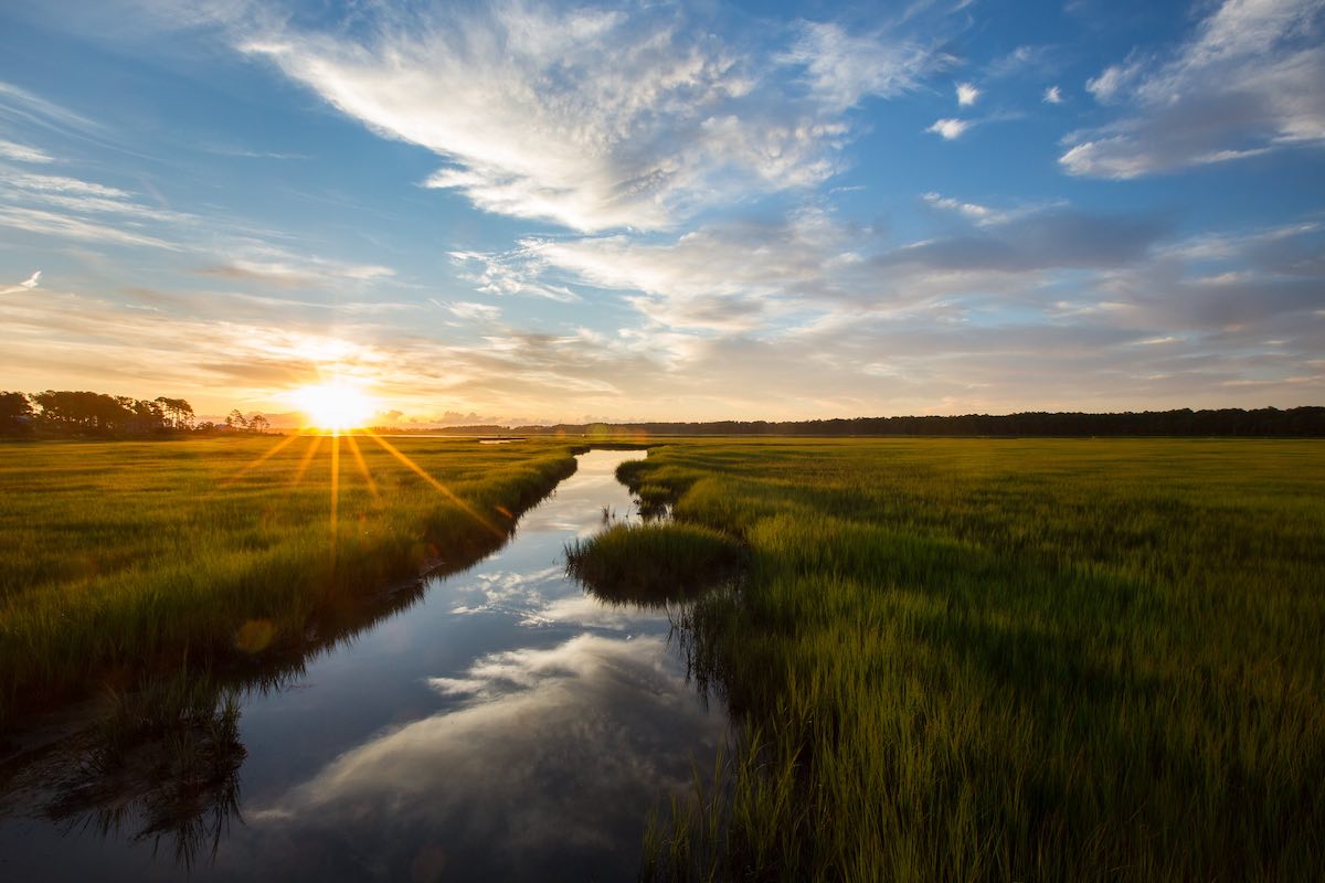 a-salute-to-salt-marshes-ocean-conservancy