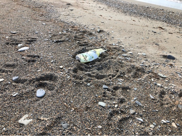 A discarded plastic shampoo bottle lies on a dark, sandy shore among polar bear tracks.
