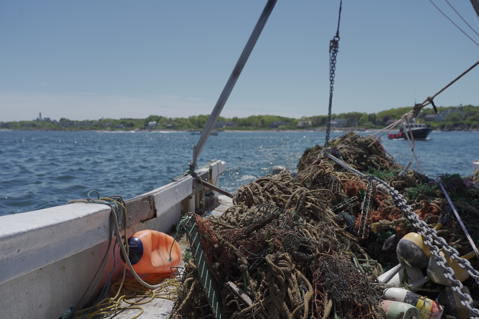 Up from the spooky depths: Ghost Gear program takes tonnes of lost fishing  gear from N.L.'s coastal waters, but it's just a start