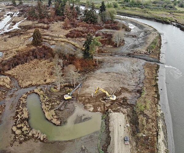 Estuary restoration