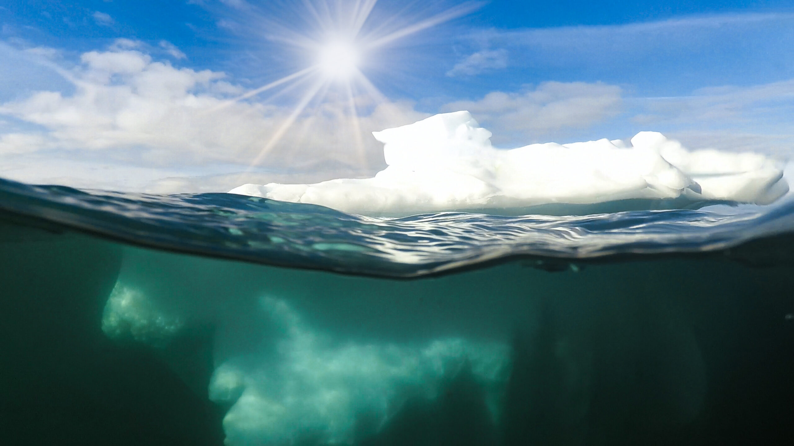 OverUnderIceBerg_Sunflare_PatriciaChambers