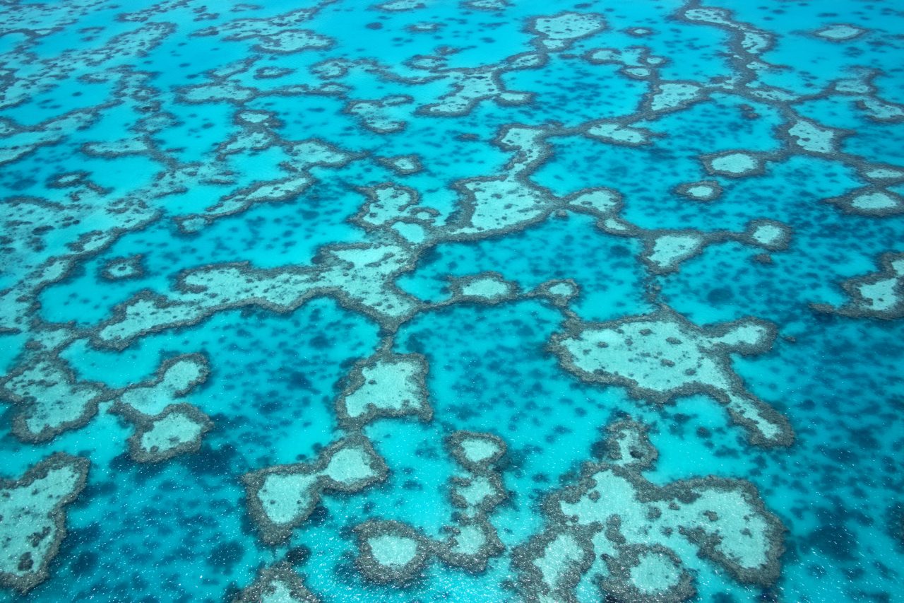 IYORBank_FromAbove_TheOceanAgency_1 copy
