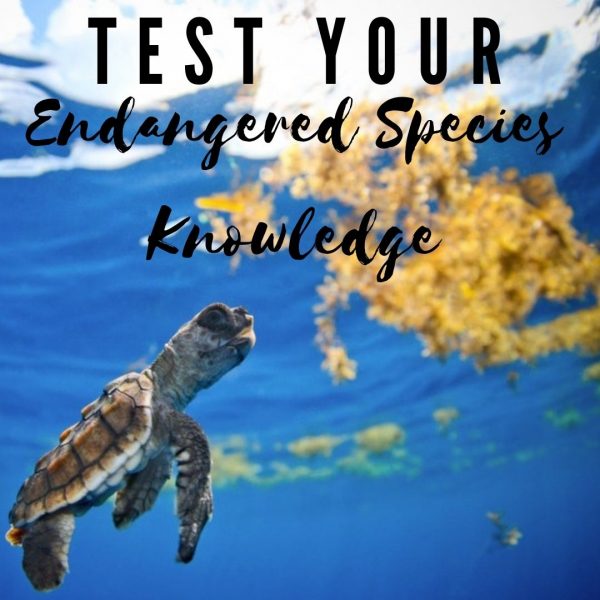 TEST YOUR