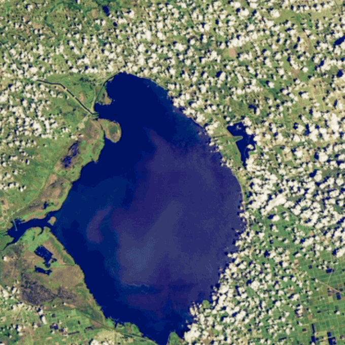 lake_okeechobee_Landsat images caputured 2016 algal blooms in Lake Okeechobee during the summer_Credit_Landsat 8