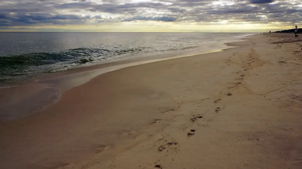 Fire Island Pines