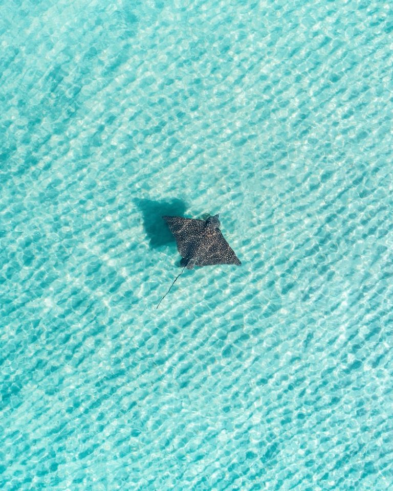 Unsplash Pierce Gainey