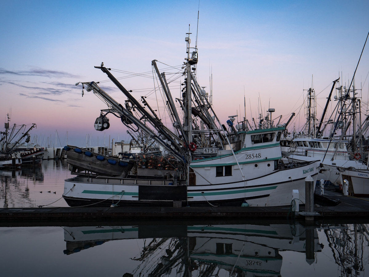 Fisheries boats docked at the marina
