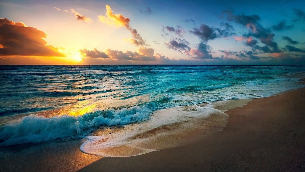 Disney Gamers Provide Big Win For Our Ocean