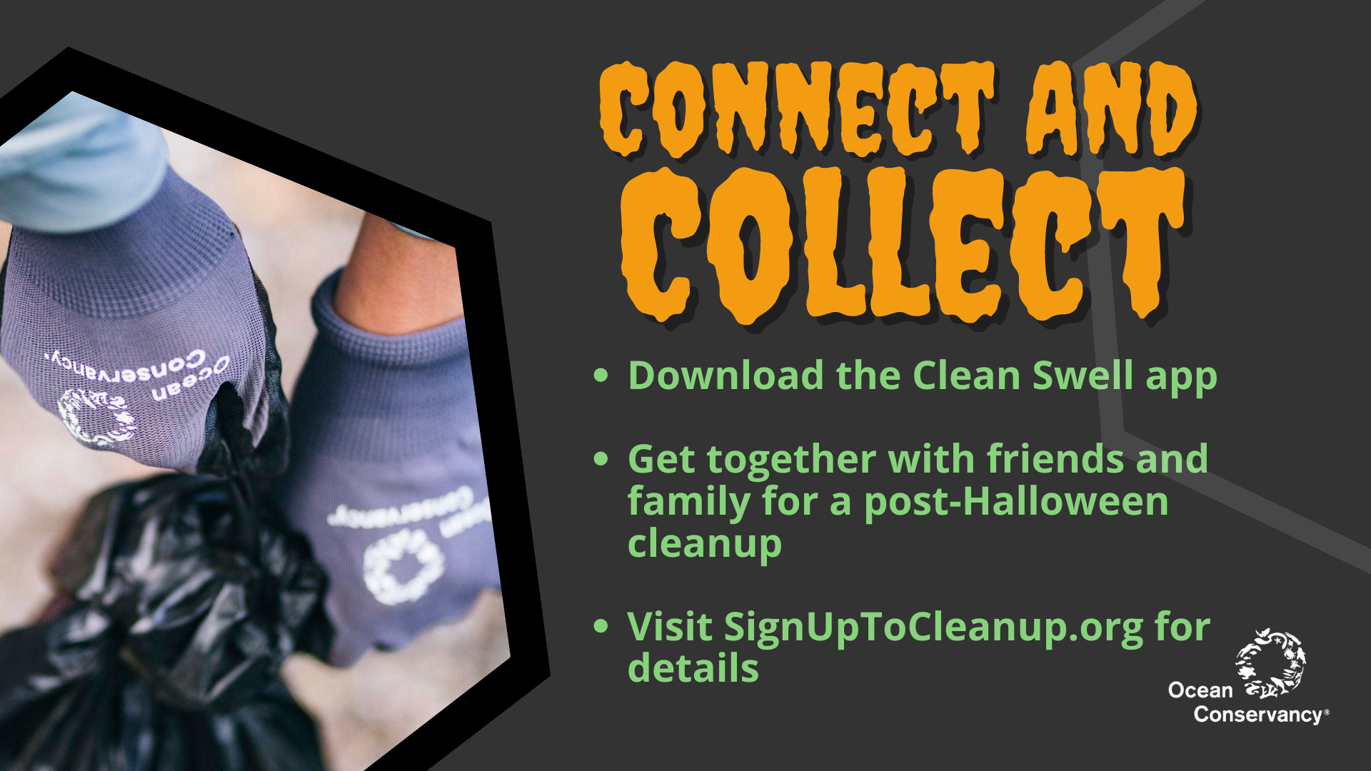 4 Connect and Collect