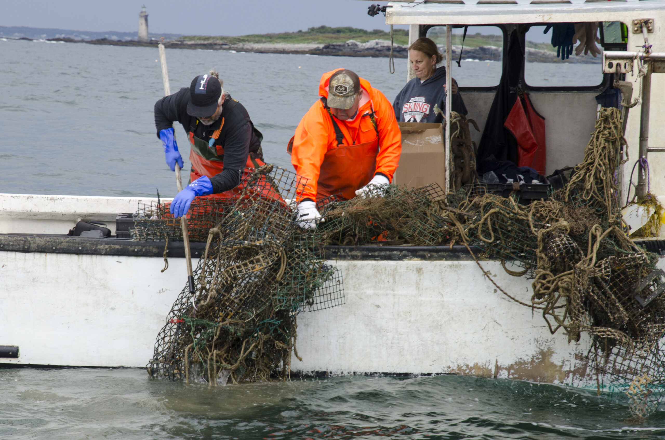 Ghost Gear Retrieval in Maine Has Impact on Lobster Stock - Ocean