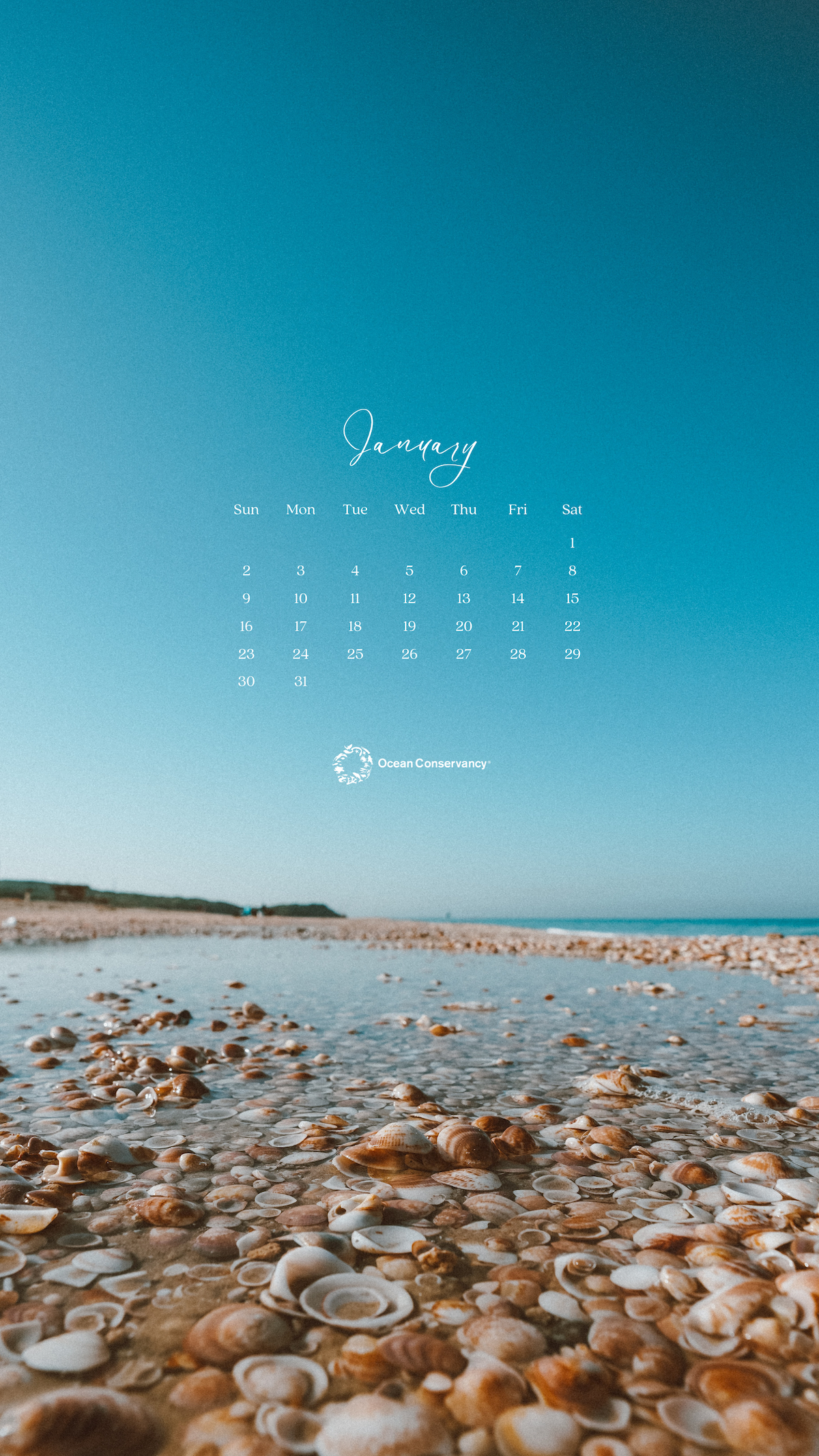 Shore Mobile Wallpaper