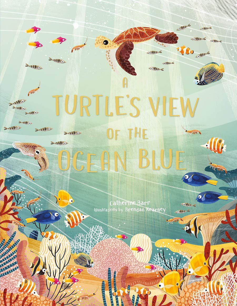 The cover of the book A Turtle’s View of the Ocean Blue by Catherine Barr depicts an ecosystem of the ocean with small fish and a sea turtle.