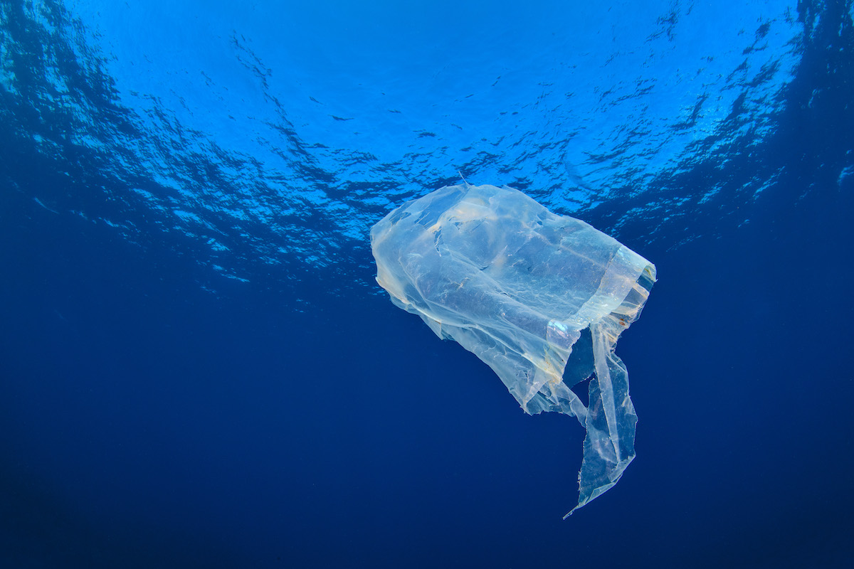 A Global Instrument to End Plastic Pollution