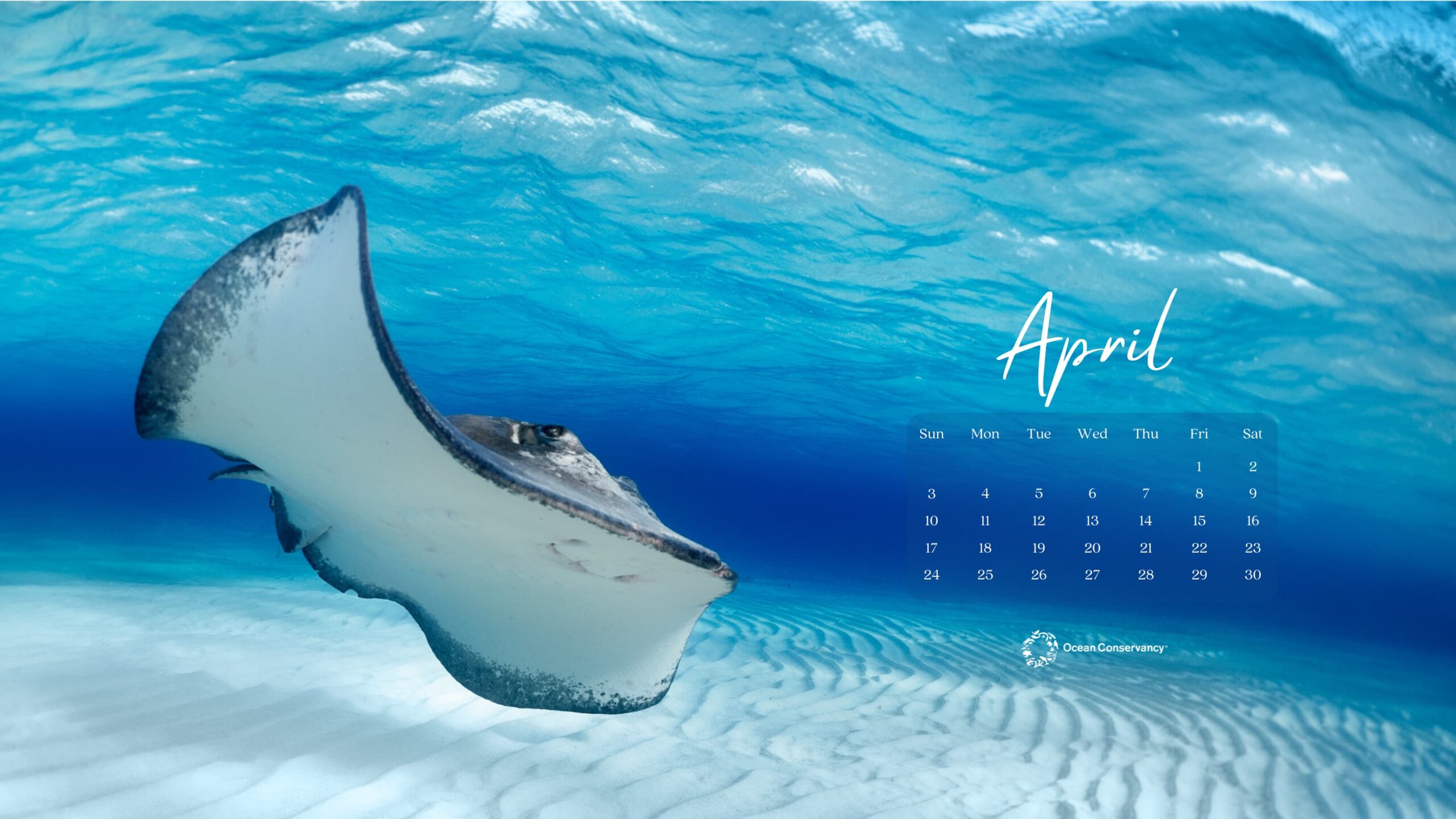 April Wallpaper ray