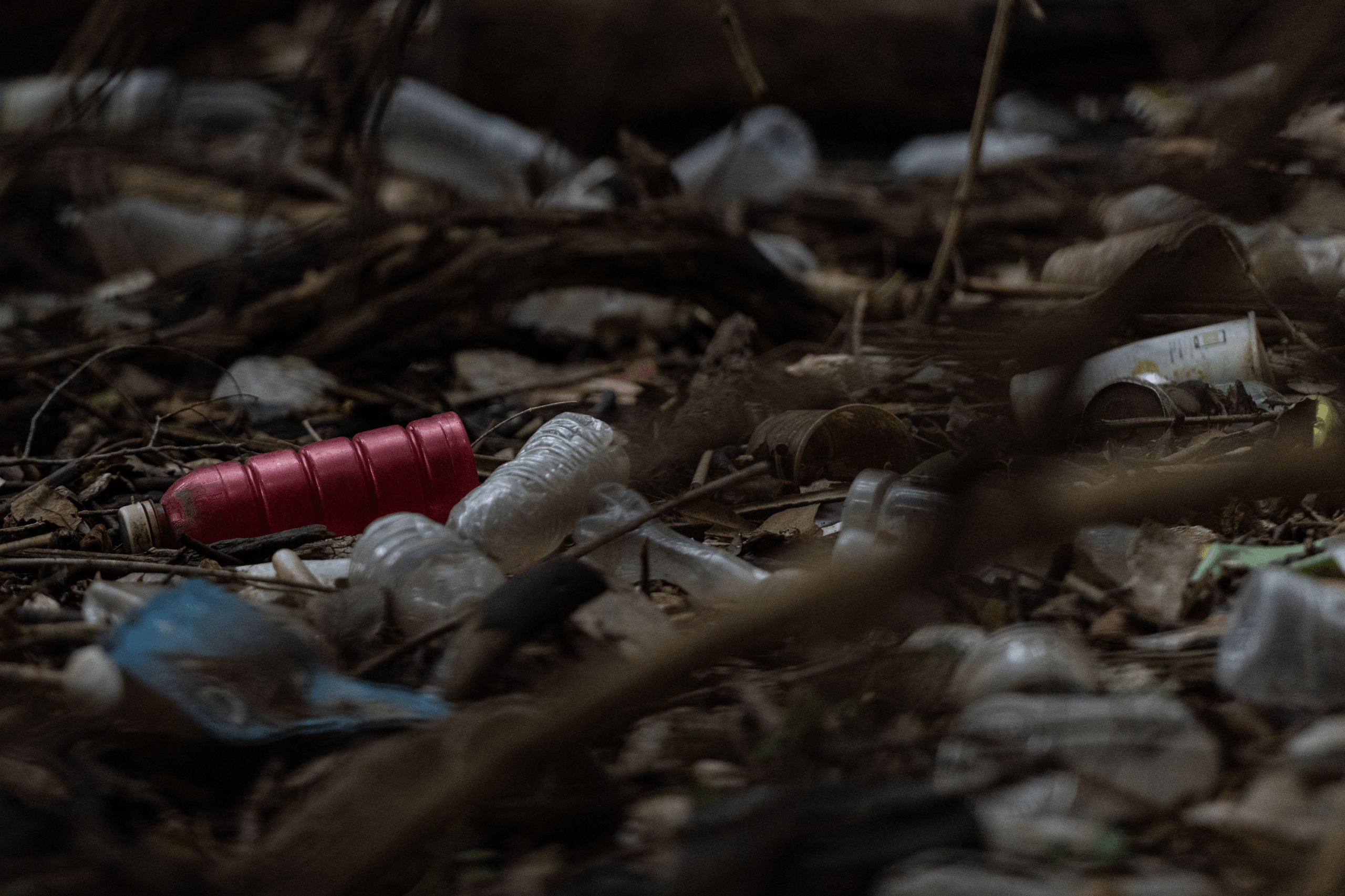 Plastic bottles littered