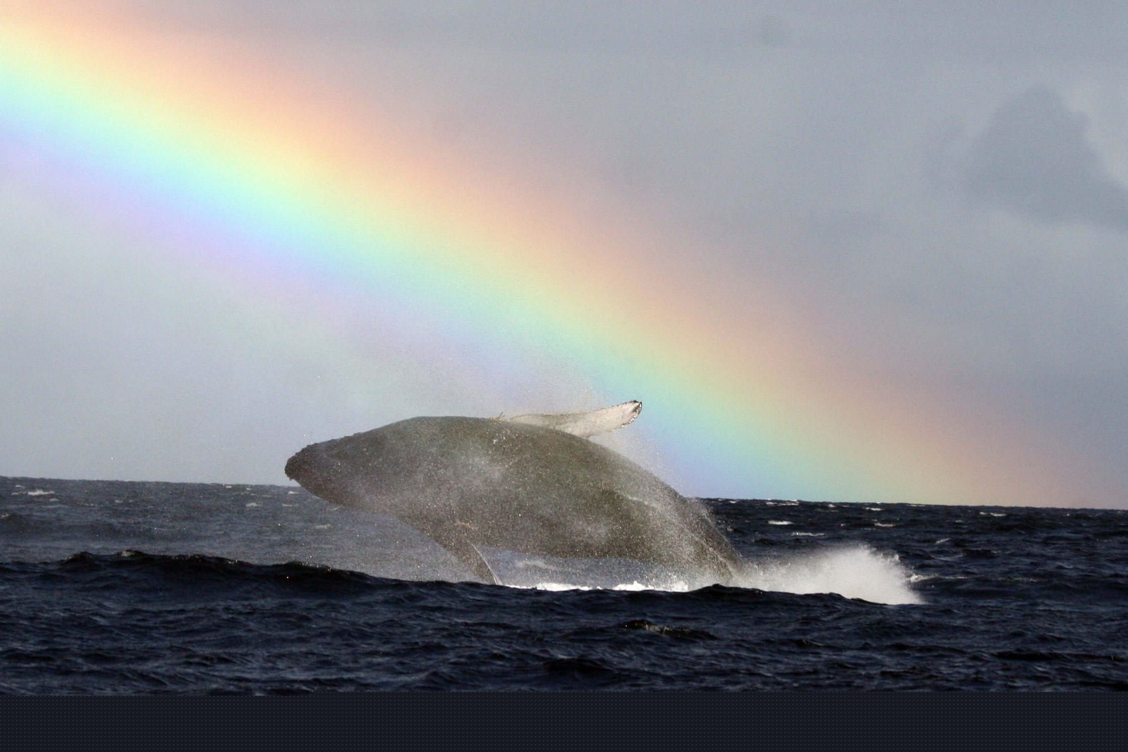 rainbow HI_William Eikeland