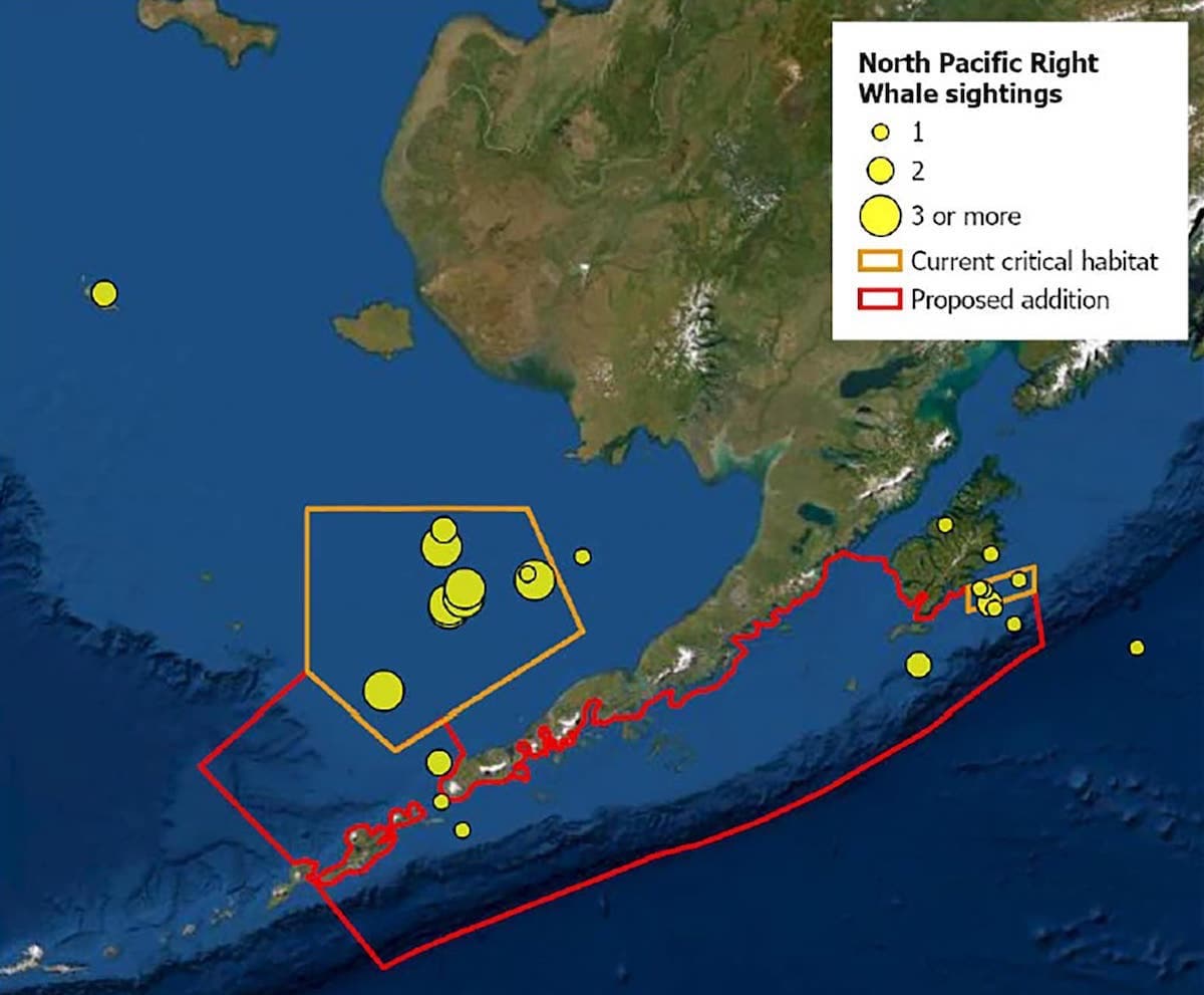 How Can We Protect The North Pacific Right Whale Ocean News Hubb   1600x1500 AKR Requested Proposed NPRW CH 2 