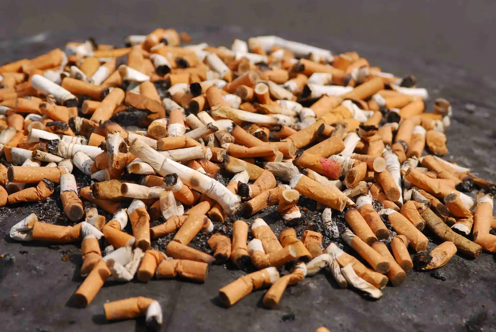 Cigarette Butts on beach